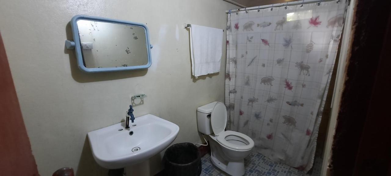 Tropical Dreams Hostel South End Екстериор снимка