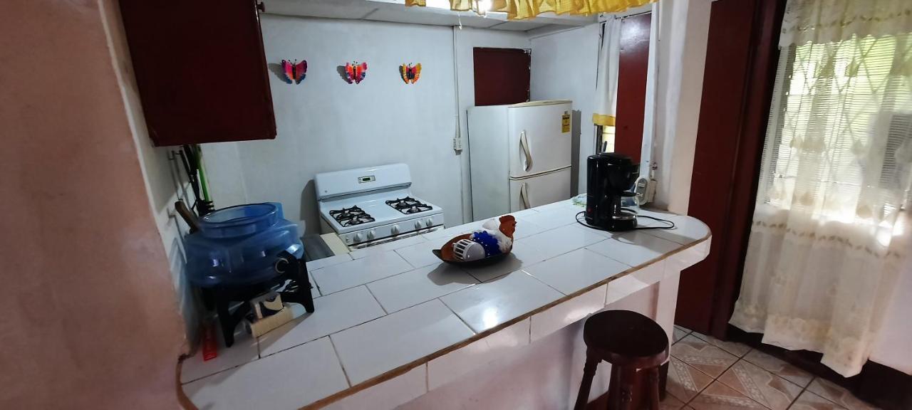 Tropical Dreams Hostel South End Екстериор снимка