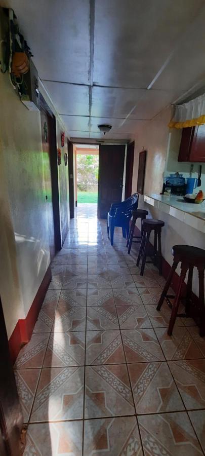 Tropical Dreams Hostel South End Екстериор снимка