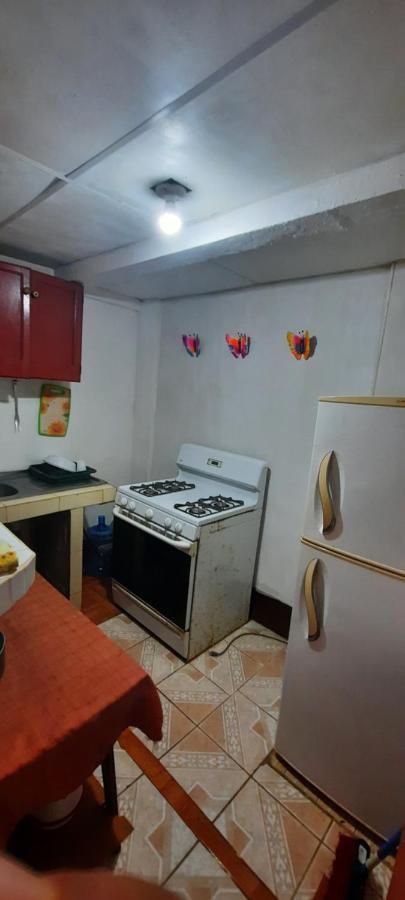 Tropical Dreams Hostel South End Екстериор снимка